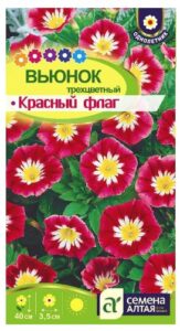 ВЬЮНОК КРАСНЫЙ ФЛАГ