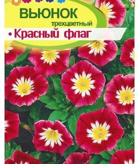 ВЬЮНОК КРАСНЫЙ ФЛАГ