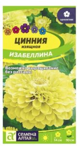 ЦИННИЯ ИЗАБЕЛЛИНА ИЗЯЩНАЯ