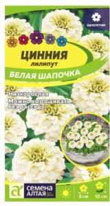 ЦИННИЯ ЛИЛИПУТ БЕЛАЯ ШАПОЧКА