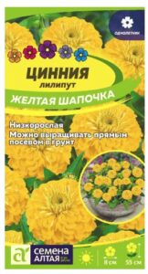 ЦИННИЯ ЛИЛИПУТ ЖЕЛТАЯ ШАПОЧКА