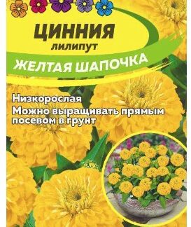 ЦИННИЯ ЛИЛИПУТ ЖЕЛТАЯ ШАПОЧКА