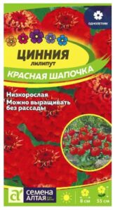 ЦИННИЯ ЛИЛИПУТ КРАСНАЯ ШАПОЧКА