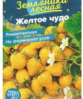 ЯГОДА ЗЕМЛЯНИКА ЖЕЛТОЕ ЧУДО РЕМОНТАНТНАЯ