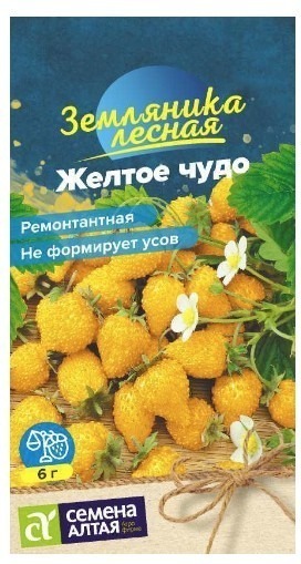 ЯГОДА ЗЕМЛЯНИКА ЖЕЛТОЕ ЧУДО РЕМОНТАНТНАЯ