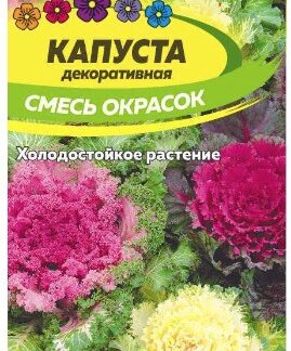 КАПУСТА ДЕКОРАТИВНАЯ СМЕСЬ ОКРАСОК