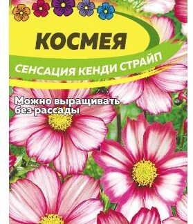 КОСМЕЯ СЕНСАЦИЯ КЕНДИ СТРАЙП