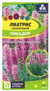 ЛИАТРИС ПИКАДОР