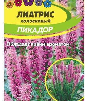 ЛИАТРИС ПИКАДОР