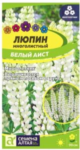 ЛЮПИН БЕЛЫЙ АИСТ