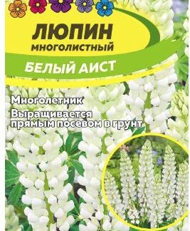 ЛЮПИН БЕЛЫЙ АИСТ