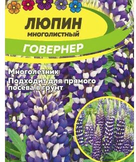 ЛЮПИН ГОВЕРНЕР