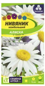 НИВЯНИК АЛЯСКА