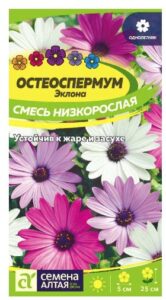 ОСТЕОСПЕРМУМ СМЕСЬ НИЗКОРОСЛАЯ