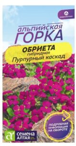 ОБРИЕТА ПУРПУРНЫЙ КАСКАД