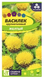 ВАСИЛЕК ЖЕЛТЫЙ КРУПНОГОЛОВЫЙ