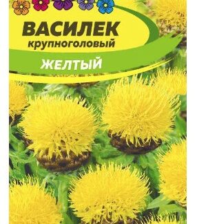 ВАСИЛЕК ЖЕЛТЫЙ КРУПНОГОЛОВЫЙ