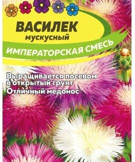 ВАСИЛЕК ИМПЕРАТОРСКАЯ СМЕСЬ МУСКУСНЫЙ