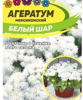 АГЕРАТУМ БЕЛЫЙ ШАР