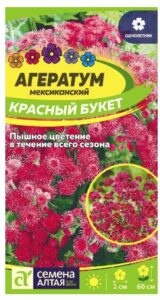 АГЕРАТУМ КРАСНЫЙ БУКЕТ