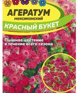 АГЕРАТУМ КРАСНЫЙ БУКЕТ