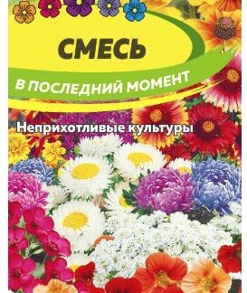 СМЕСЬ В ПОСЛЕДНИЙ МОМЕНТ ЦВЕТОЧНАЯ