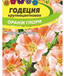 ГОДЕЦИЯ ОРАНЖ ГЛОРИ