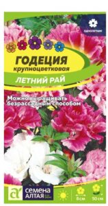 ГОДЕЦИЯ ЛЕТНИЙ РАЙ