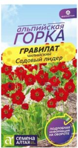 ГРАВИЛАТ ЧИЛИЙСКИЙ САДОВЫЙ ЛИДЕР