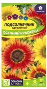 ПОДСОЛНЕЧНИК ОСЕННИЙ КРАСАВЕЦ