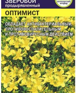 ЗЕЛЕНЬ ЗВЕРОБОЙ ОПТИМИСТ