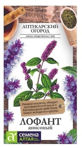 ЗЕЛЕНЬ ЛОФАНТ АНИСОВЫЙ