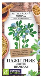 ЗЕЛЕНЬ ПАЖИТНИК СЕННОЙ ШАМБАЛА