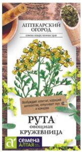 ЗЕЛЕНЬ РУТА КРУЖЕВНИЦА