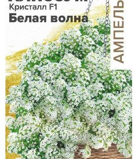 АЛИССУМ КРИСТАЛЛ F1 БЕЛАЯ ВОЛНА АМПЕЛЬНЫЙ