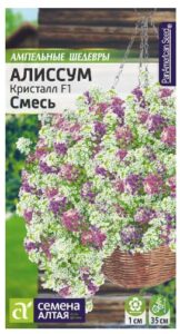 АЛИССУМ КРИСТАЛЛ F1 СМЕСЬ АМПЕЛЬНЫЙ
