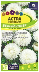 АСТРА БЕЛЫЙ КОВЕР НИЗКОРОСЛАЯ