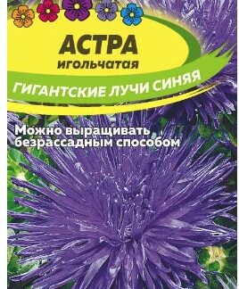 АСТРА ГИГАНТСКИЕ ЛУЧИ СИНЯЯ