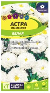 АСТРА ПОМПОННАЯ БЕЛАЯ