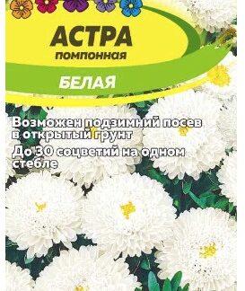 АСТРА ПОМПОННАЯ БЕЛАЯ
