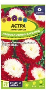 АСТРА ПРЕВОСХОДНЫЙ ГАСФОРД ПОМПОННАЯ