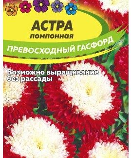 АСТРА ПРЕВОСХОДНЫЙ ГАСФОРД ПОМПОННАЯ