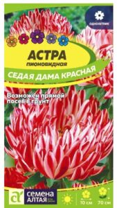 АСТРА СЕДАЯ ДАМА КРАСНАЯ