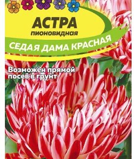 АСТРА СЕДАЯ ДАМА КРАСНАЯ