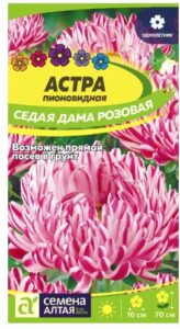 АСТРА СЕДАЯ ДАМА РОЗОВАЯ
