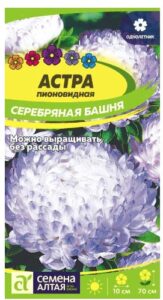 АСТРА СЕРЕБРЯНАЯ БАШНЯ