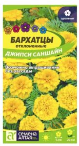 БАРХАТЦЫ ДЖИПСИ САНШАЙН МАХРОВЫЕ