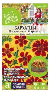 БАРХАТЦЫ ШАЛОВЛИВАЯ МАРИЕТТА