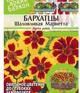 БАРХАТЦЫ ШАЛОВЛИВАЯ МАРИЕТТА