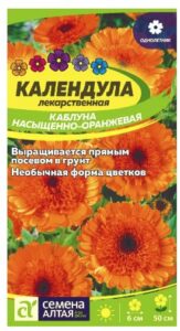 КАЛЕНДУЛА КАБЛУНА НАСЫЩЕННО-ОРАНЖЕВАЯ